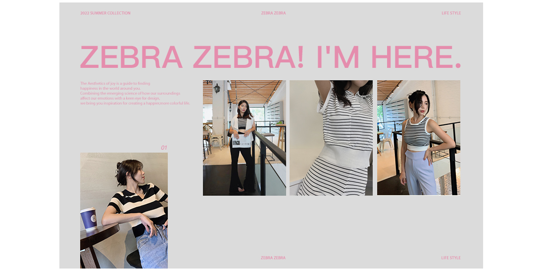 條紋控不失控，因應各種場合的安全牌｜Zebra Zebra! I